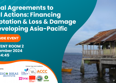 Global Agreements to Local Actions: Financing Adaptation & Loss & Damage in Developing Asia-Pacific (COP29 Side Event)